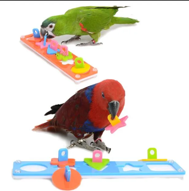 acrylic parrot toys