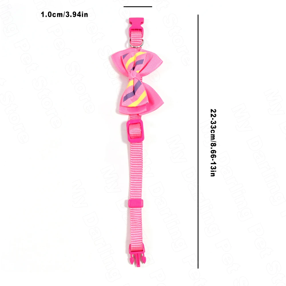 collar for kitten