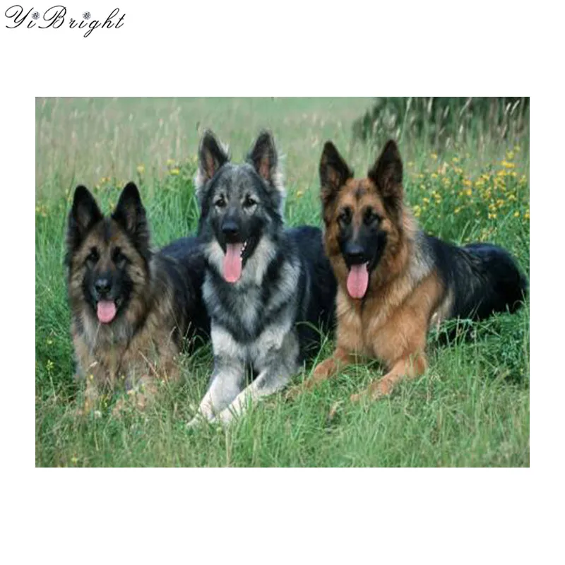 

Diy Diamond Painting dog,3D Square Diamond Embroidery German Shepherd Needlework Resin Diamond Cross Stitch Sheepdog Kit