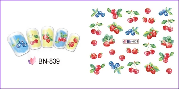 BN-839