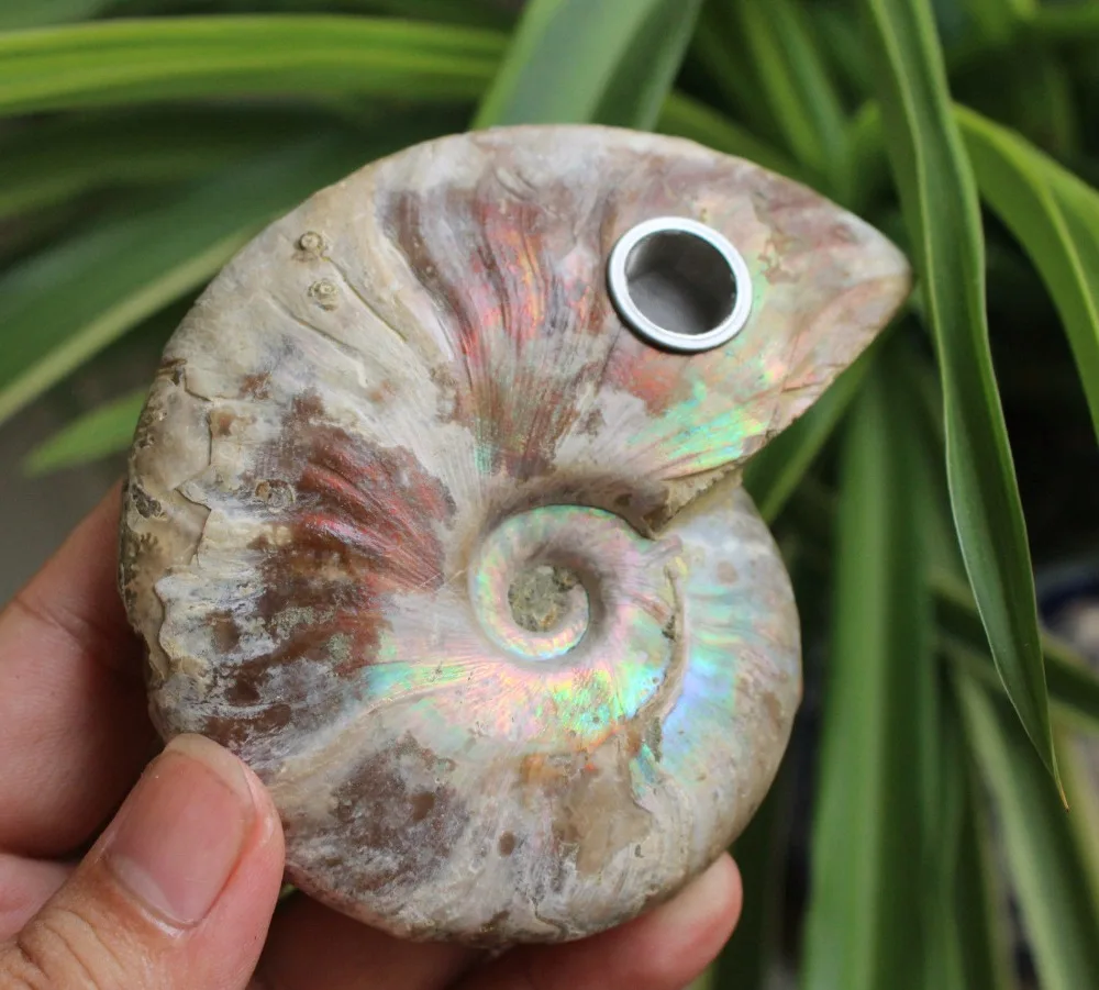 

230g Free Shipping! NATURAL ammonite RAINBOW FOSSIL Smoking Pipe for tobacco