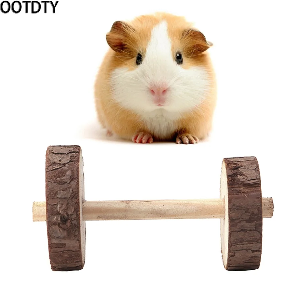 milo activation hamster