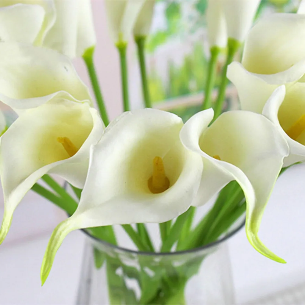 Каллы фото цветов Каллы фото цветов