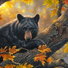 Черный медведь восхождение на багажник DIY живопись по номерам Искусство Ручная роспись креативный цифровой масляной пигментная краска кисть