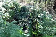 Ultralight Jacket and Pants Mesh Ghillie Suit Camo 3D single Hunting Camouflage net suit Bionic training suit Combat clothing