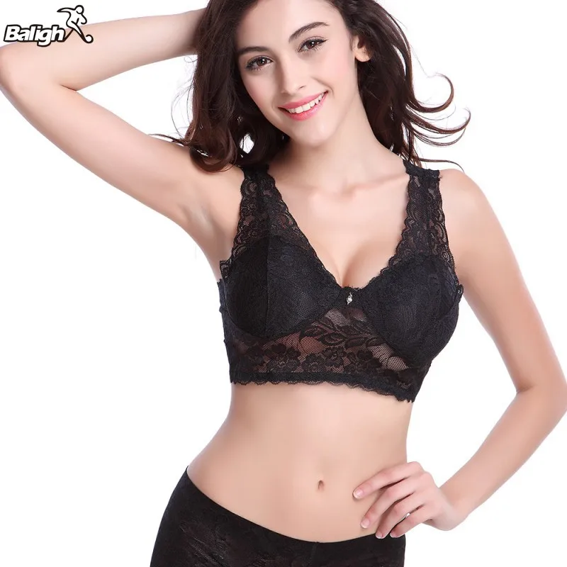LQ484B(5)