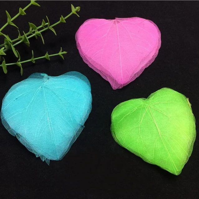 100pcs 4 7cm Dried Natural Pul Bo Tree Large Leaf Leaves 100pcs 4 7cm Dried Natural Pul Bo Tree Large Leaf Leaves Skeleton