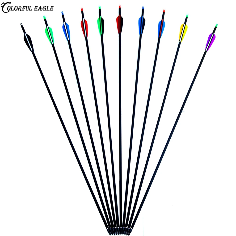 

12PK Replaceable 28 inch Spine 500 Carbon Arrow for Compound & Recurve Bow Hunting and Archery Shooting Target