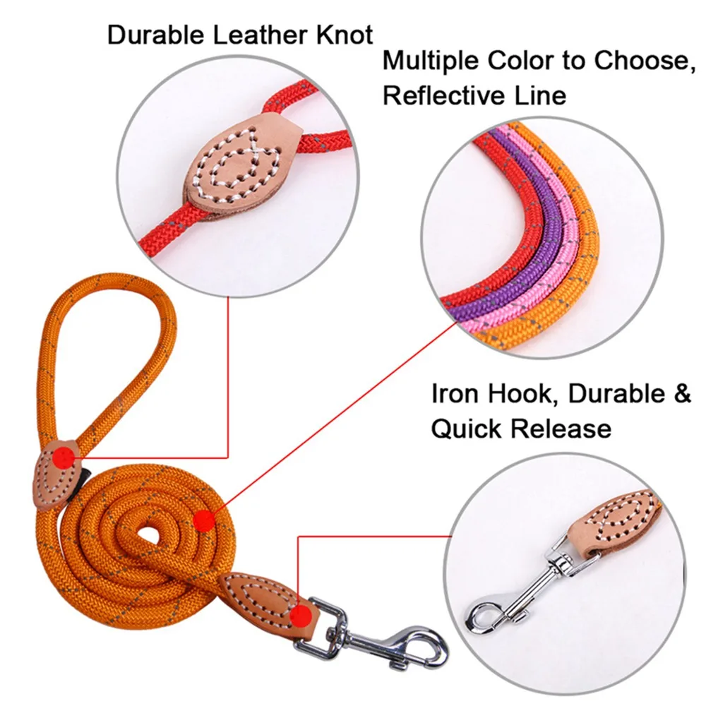 Pet Products Dog Leash Nylon Reflective Puppy Dog Leash Rope Cat Chihuahua Pet Leash And Collar Set Cat Dog Leashes Lead Harness (24)