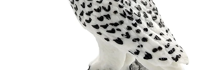 -2---DW-M-LP633-843_17