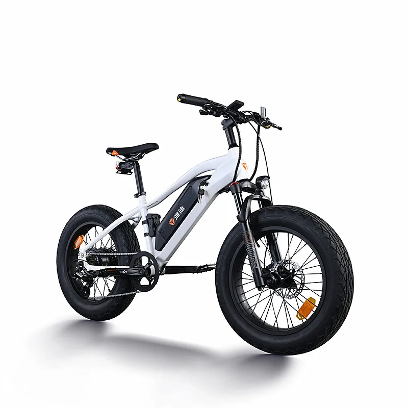 Yadea электровелосипед e-bike горный велосипед 20 дюймовая Толстая шина shimano Трансмиссия высокое качество известный бренд