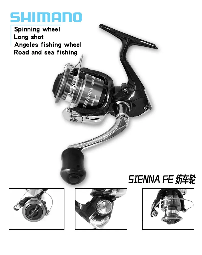 SIENNA-_01