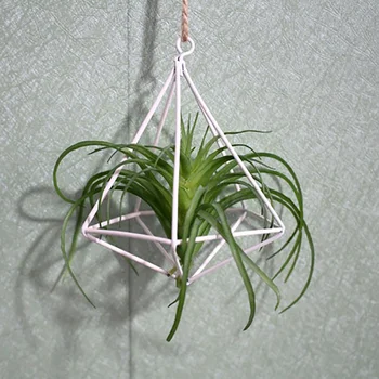 

Wall Freestanding Hanging Tillandsia Air Plants Rack Rustic Metal Iron Wrought Geometric Plant Holder