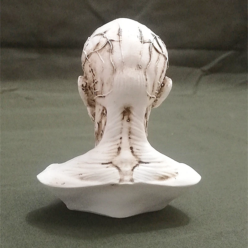 3D Искусство Живопись штукатурка статуя силиконовая форма череп голова человека