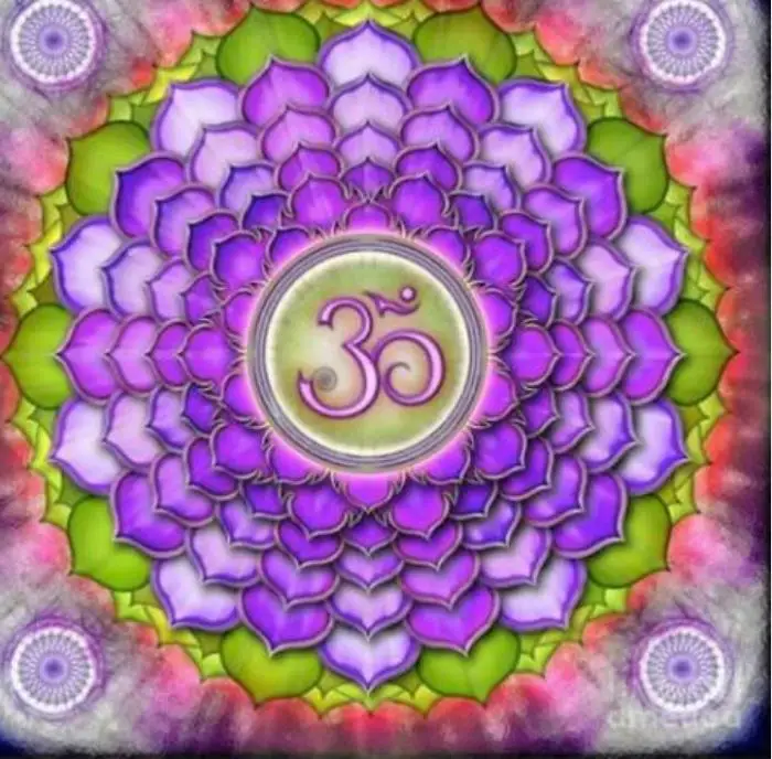 36020190414203136151