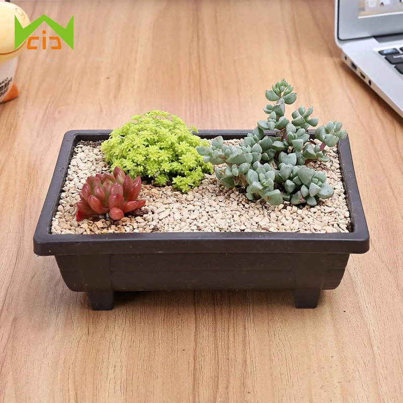 Garden Planter Nursery Square Flower Pot Plant Bowl Bonsai Succulent Basin