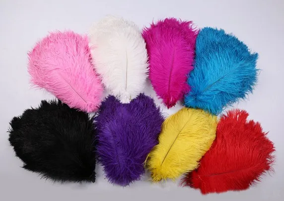 

Ostrich Feathers 50 PCS Plume Bulk for Crafts 25-30 cm / 10 to12'' Wedding Decorative Feathers