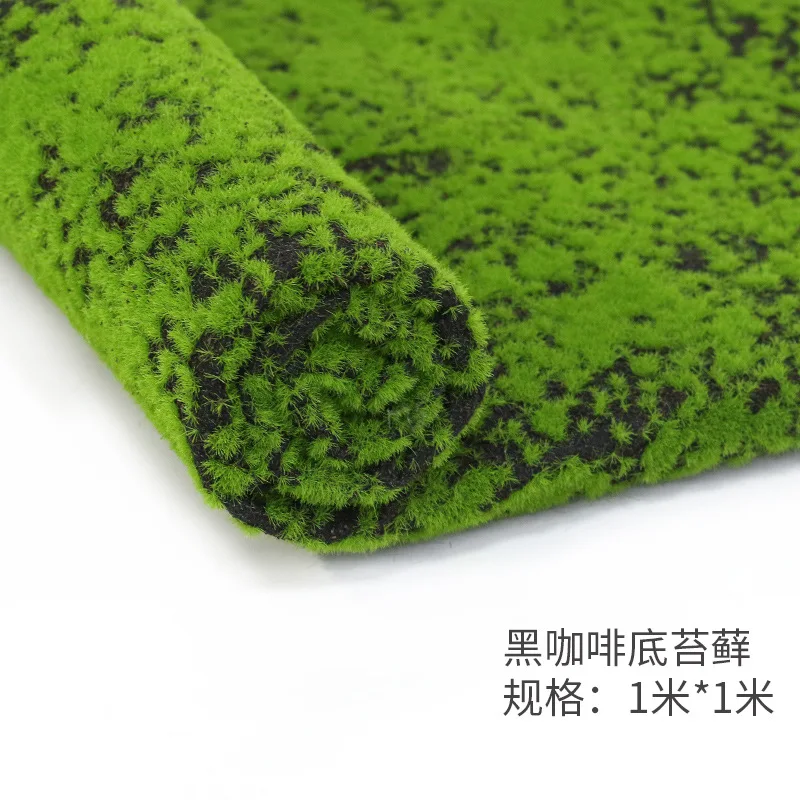 8534405584_1617904826