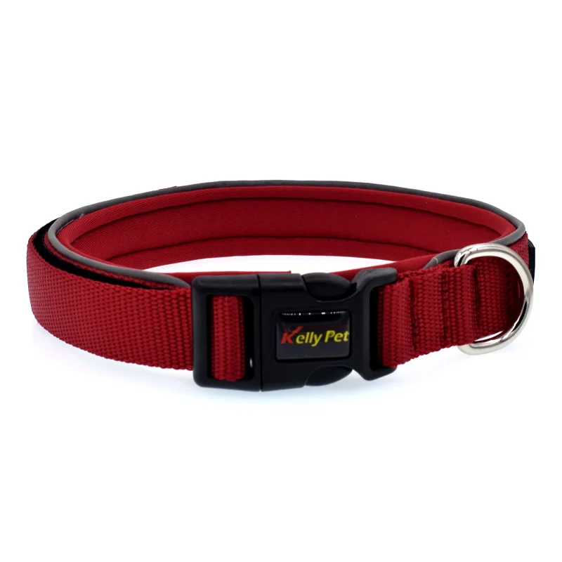 06 dog collar personalized 