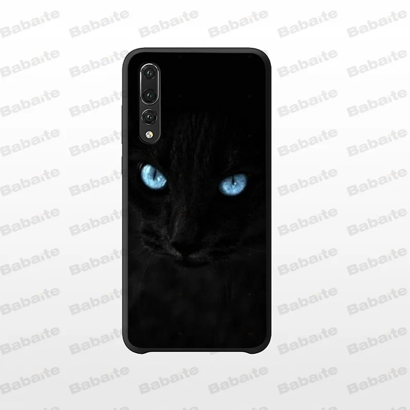 Black Cat Staring Eye