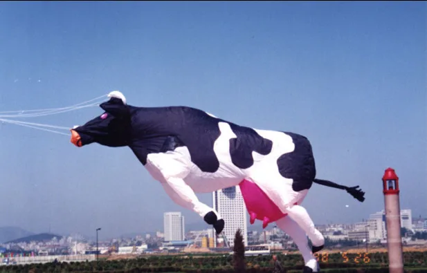 

NEW ARRIVE 3D HIGH QUALITY COW KITE NYLON CLOTHE POWER WINDSOCKS / INFLATABLE KITES GOOD FLYING KITE FESTIVAL