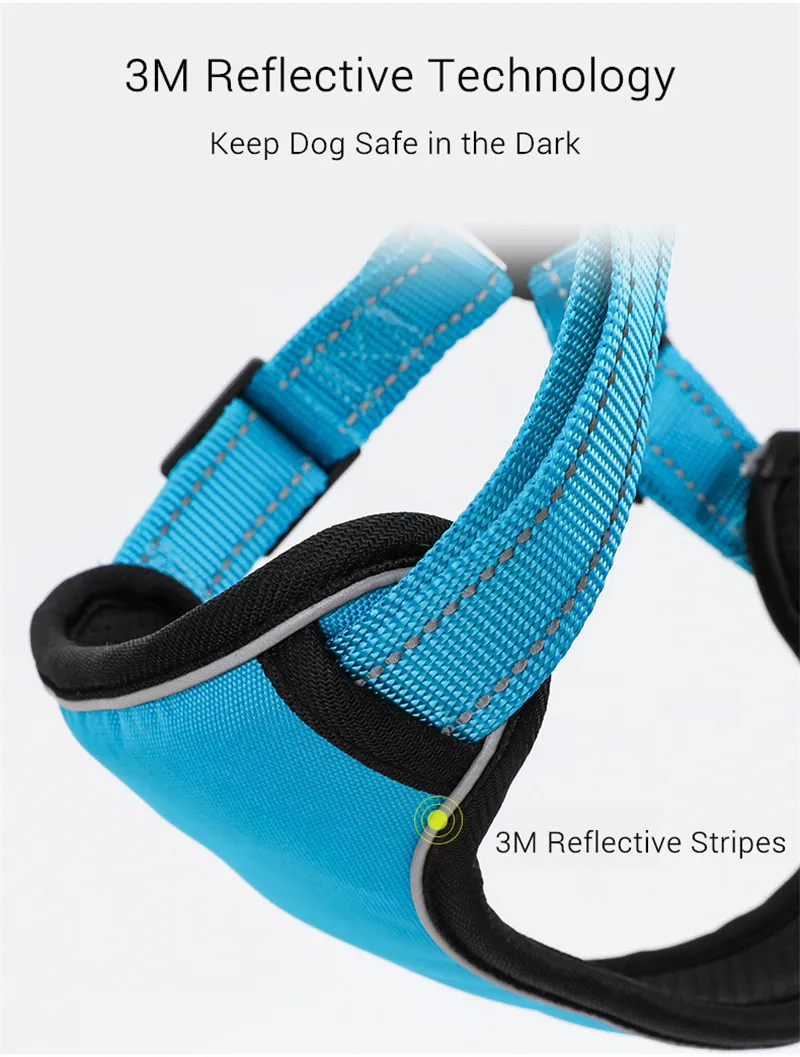 Dog Harness (7)