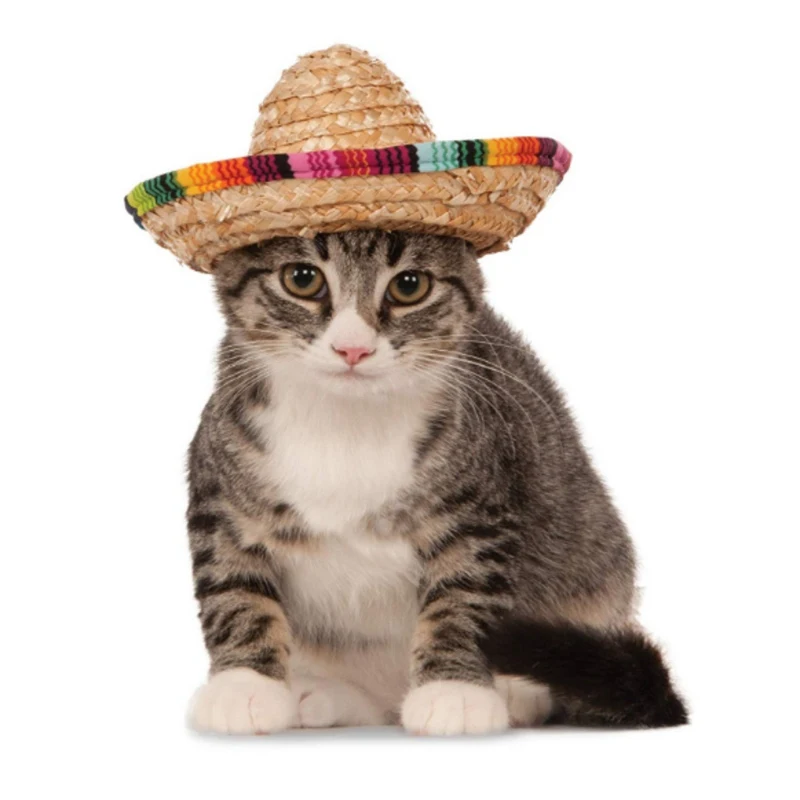 Мини соломенная шляпа для домашних животных Sombrero Cat от солнца пляжные вечерние