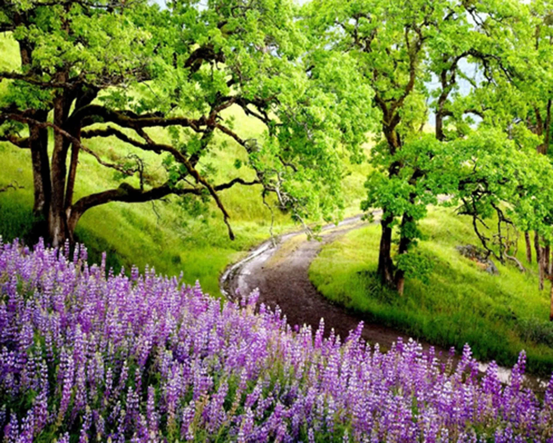 

40X50CM(16"X 20") Forest Landscape Full Drill Put Embroidery Diy Diamond Painting Cross Stitch Kit Mosaic Home Decor ZC1016