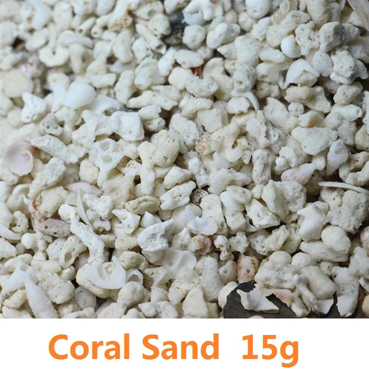 15g Top Natural Coral Sand/Shell sand/Philippines sand Fish Tank Decoration Micro Landscape