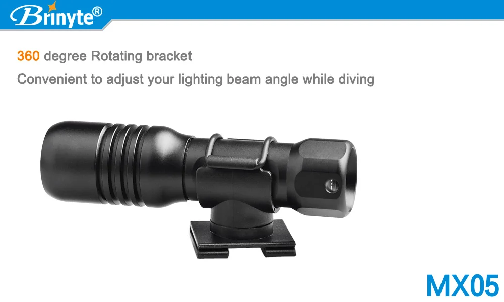dive mask light mount