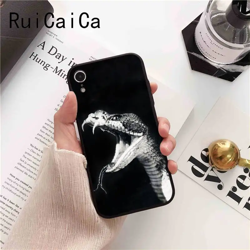 Animal monkey lion tiger leopard shark dog