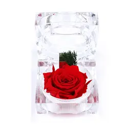 Подарок ко Дню Святого Валентина сохраненные свежими цветами сувенир на свадьбу и день рождения Дисплей фестиваль декоративный настенный
