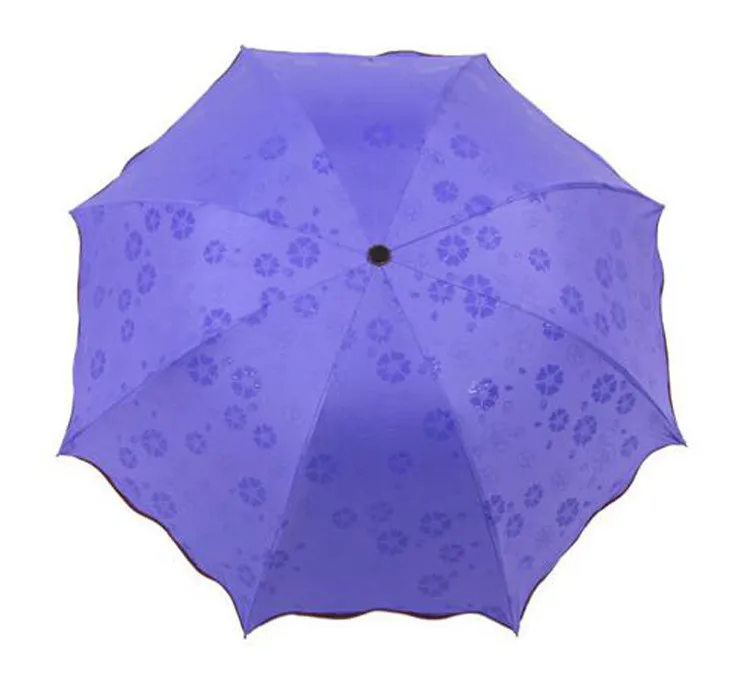 Umbrella8