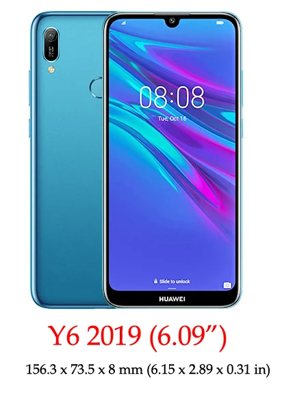 Y6 2019