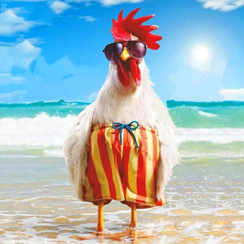 Full Square drill 5D DIY Diamond painting Beach holiday chicken Diamond Embroidery Mosaic Cross Stitch Rhinestone decoration