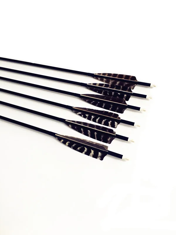 

6/12Pcs Archery Carbon Arrows Removable Arrows Tip Length 28/29/30/Inch Spine 600 For Compound Recurve Bows