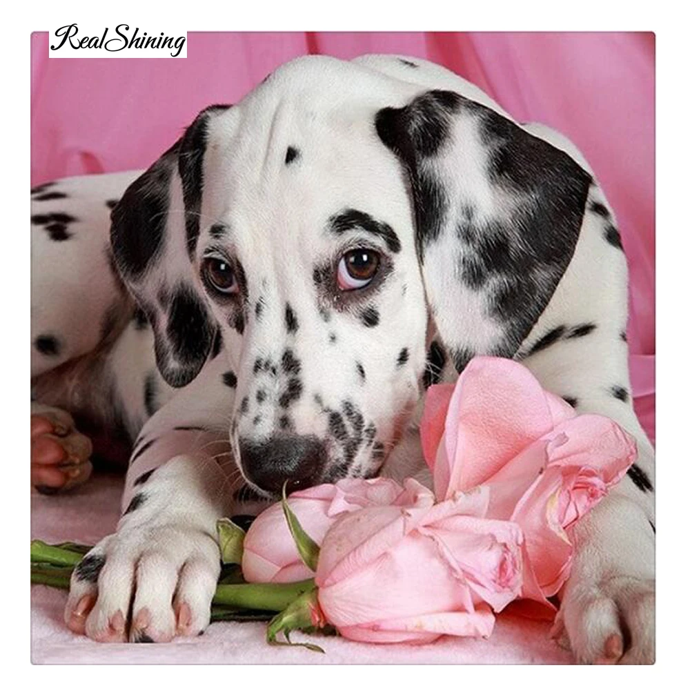 

REALSHINING Full drill Diamond embroidery Pink Roses Dalmatians 5D DIY diamond painting Cross Stitch Needlework Rhinestone DE30