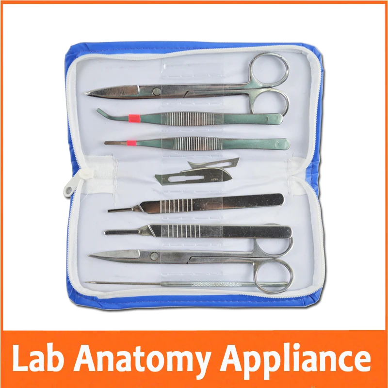 7pcs Educational Anatomy Appliance Laboratory Anatomical Tools Lancet
