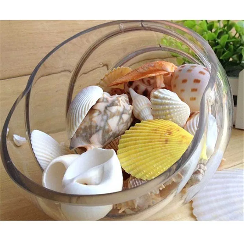100g DIY Mixed Beach Nautical Shells Aquarium Fish Tank  Decoration Bulk Seashell