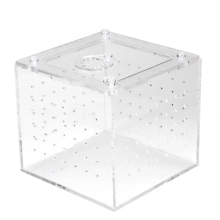 

1Pc Reptile Terrarium Feeder Snakes Spider Lizard Breeding Acrylic Box Case Insects House