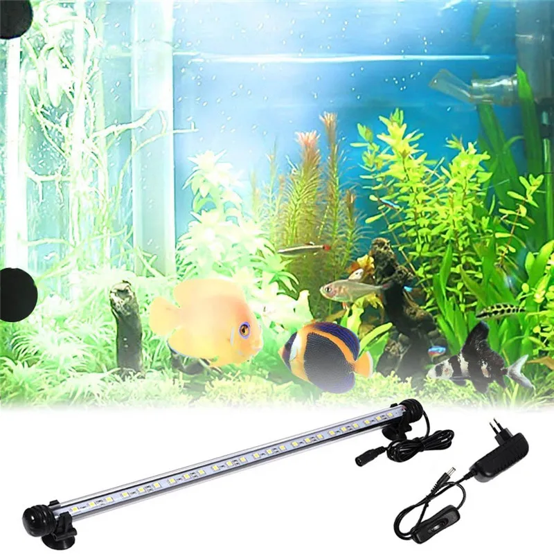 HTB1nG0WSFXXXXaJapXXq6xXFXXX1