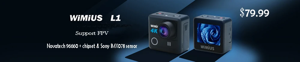 L1-