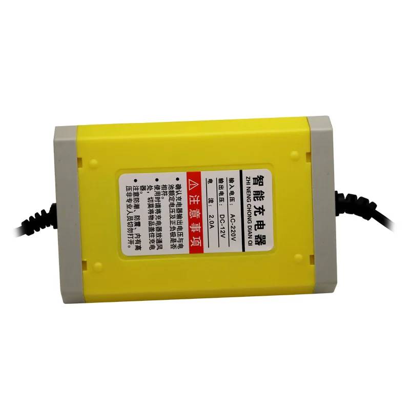 12v 20ah Electric Sprayer charger (2)
