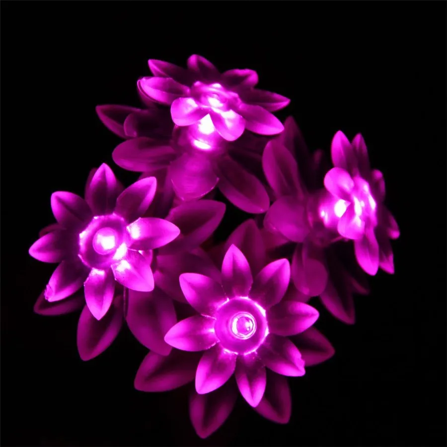 solard-5