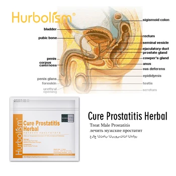 

Formula of Curing Prostate Diseases, Solve Mens Problem, Cure Prostatitis, Get a Healthy Prostate in 2 Months, 50 pcs/lot