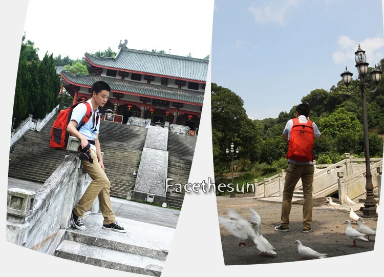 Professional camera backpack bag DLD3011-34