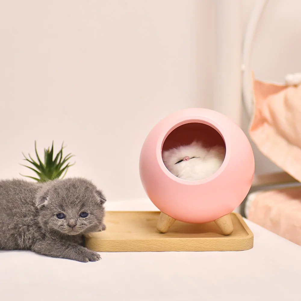 Светодиодный Светильник-ночник с милым котом, USB Перезаряжаемый декоративный Настольный светильник, креативный светильник для детской спальни