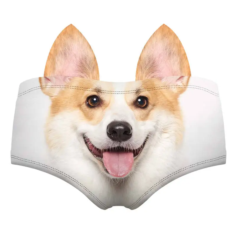 55105 corgi wiz back 