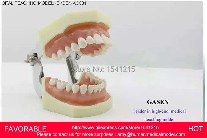 

PROSTHODONTICS PRACTICE DENTISTRY PREPARED TEETH SYSTEM PREPARATION OF GINGIVAL SIMULATION TEETH ORAL TEACHING MODELGASEN-KQ004