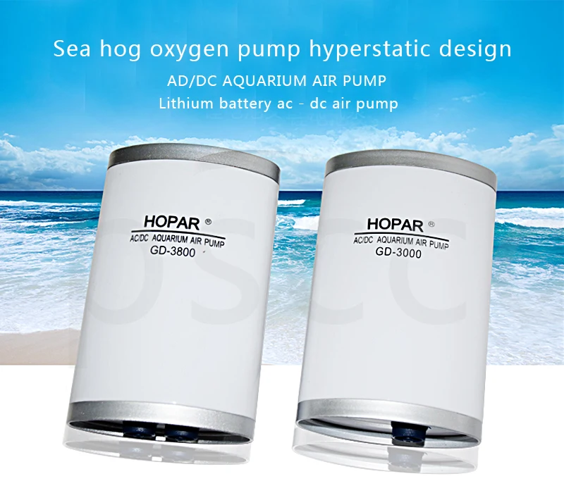 -1